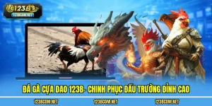 Đá gà cựa dao 123B