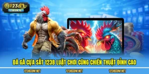 Đá gà cựa sắt 123B